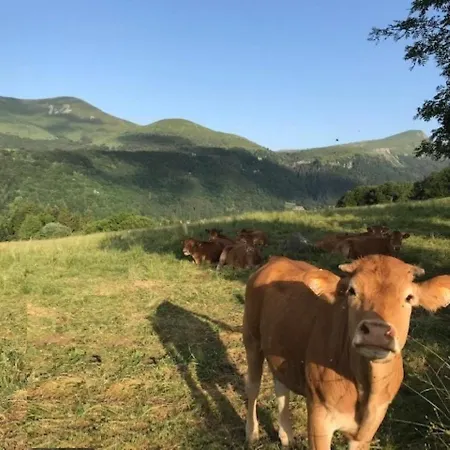 Centre Ville, Wifi Inclus - Fr-1-608-121