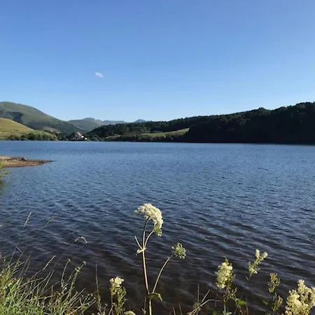 Centre Ville, Wifi Inclus - Fr-1-608-121 Lejlighed Le Mont-Dore