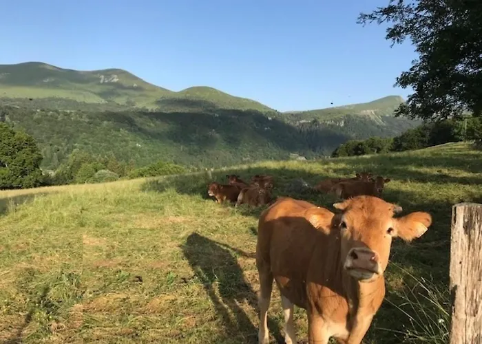 Centre Ville, Wifi Inclus - Fr-1-608-121