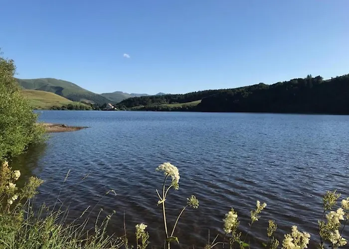 Centre Ville, Wifi Inclus - Fr-1-608-121 Lejlighed Le Mont-Dore